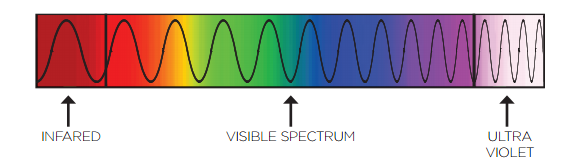 Can Light be Black? Mind-Blowing Dark Light Experiments! 