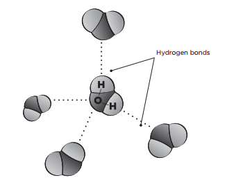 surface tension of water molecules