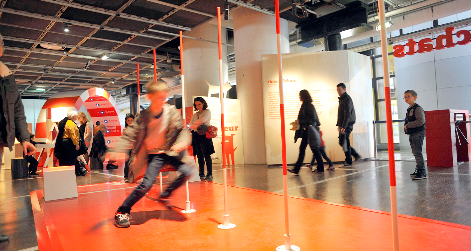 commercial rabbit housing