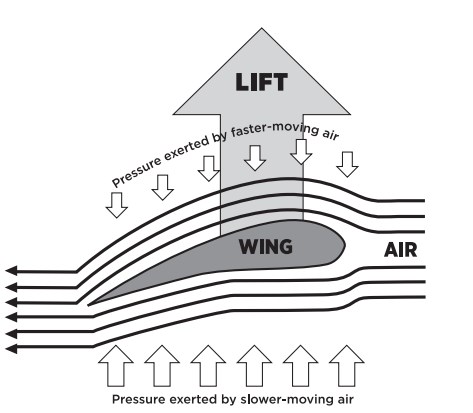 Top Wing: Earn Your Wings Sticker Activity Book