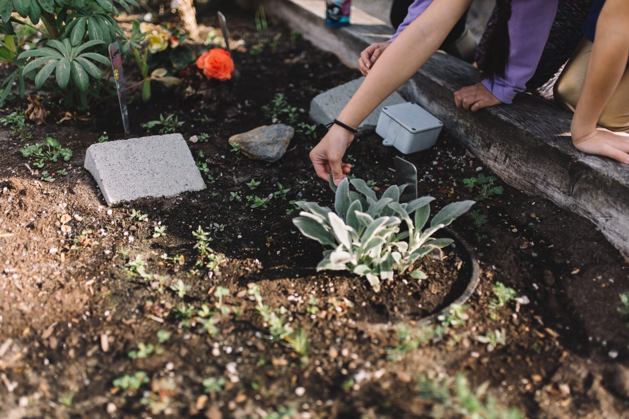 How Does Gardening Make You Happier Science World