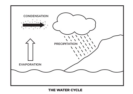 Vector Schematic Representation Water Cycle Nature Stock Vector (Royalty  Free) 520543819 | Shutterstock