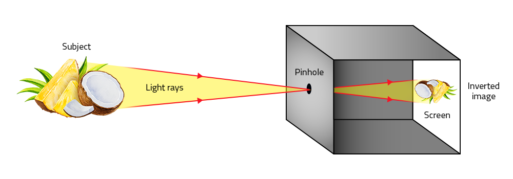 Easy Window Invert