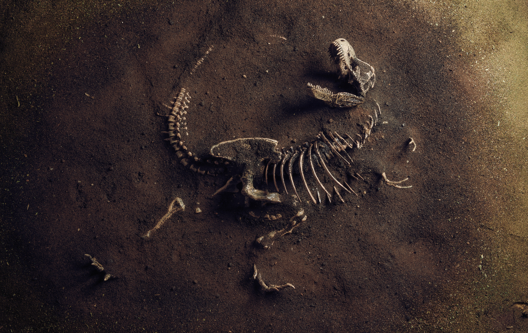 What did people think when the first dinosaur fossils were discovered? -  Science World