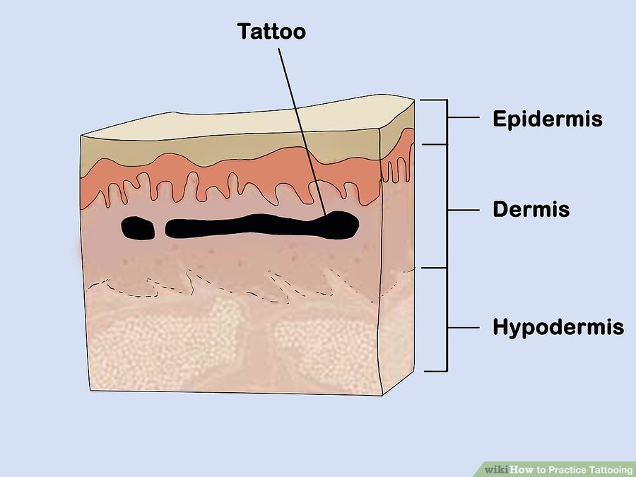Got ink? The Process And Psychology Of Tattoos - Science World Got ink? The Process And Psychology Of Tattoos - Science World