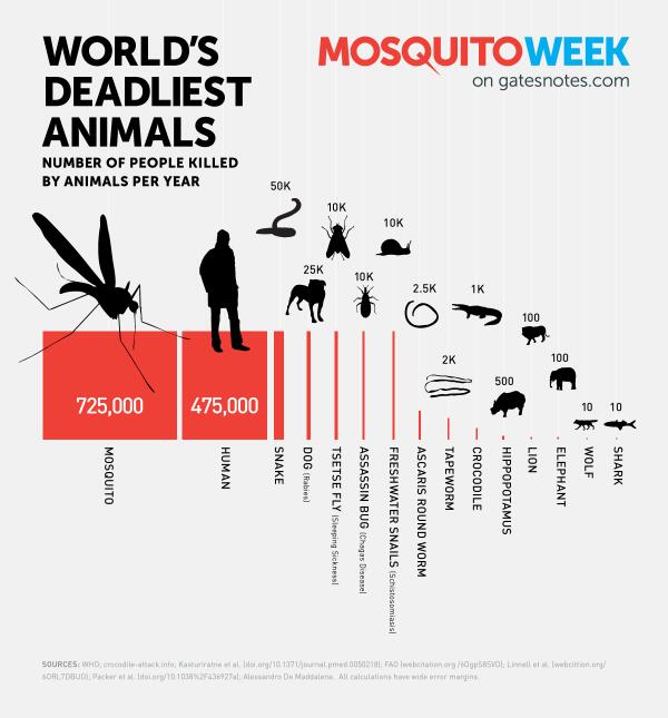 What is the Most Deadly Animal in the World? - Science World What is the Most Deadly Animal in the World? - Science World