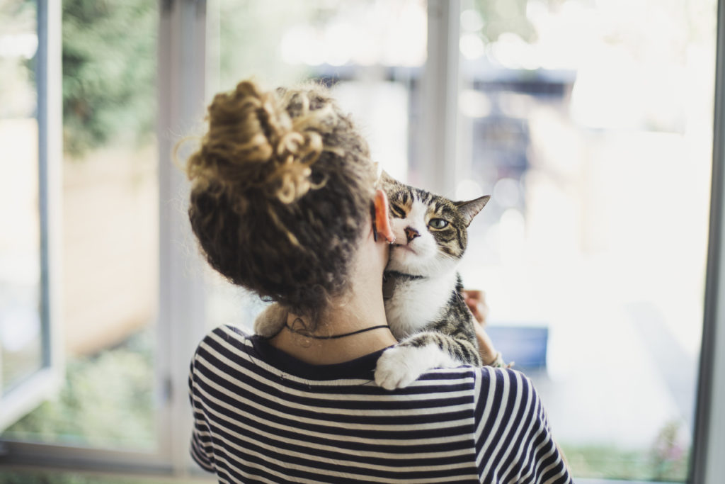 Why do cats purr?  Scientific American