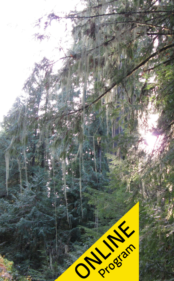 Scratch Jr. Cards Offline coding activity Science World